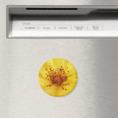 Yellow Rose Center Magnet (Insitu (Vaatwasser))