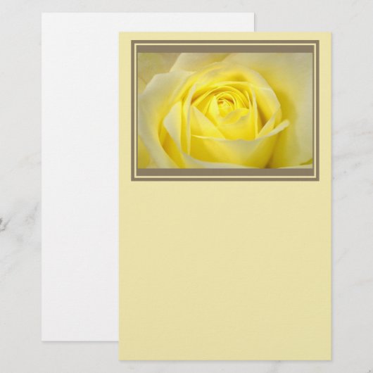 Yellow Rose Closeup Briefpapier (Voorkant / Achterkant)