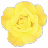 Yellow Rose Custom Vriendschap Vrienden Liefde Bru Sticker (Voorkant)