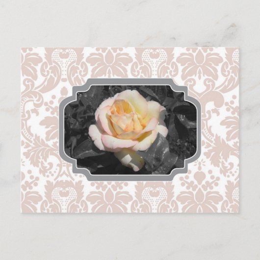 Yellow Rose Damask Notecard Briefkaart (Voorkant)