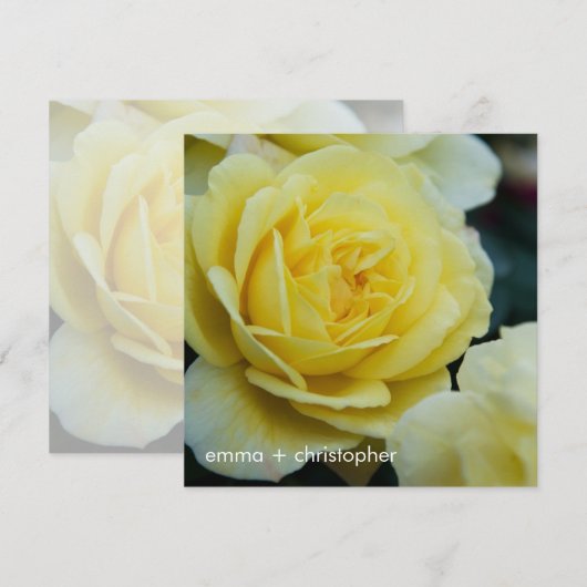 Yellow Rose DSC3677 Save The Date (Voorkant / Achterkant)