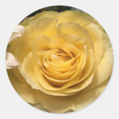 Yellow Rose Envelope Seals Stickers (Voorkant)