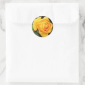 'Yellow Rose' Envelopzegel Ronde Sticker (Tas)