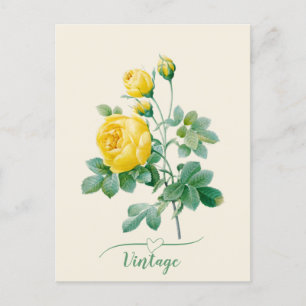 Yellow Rose Fine art Briefkaart