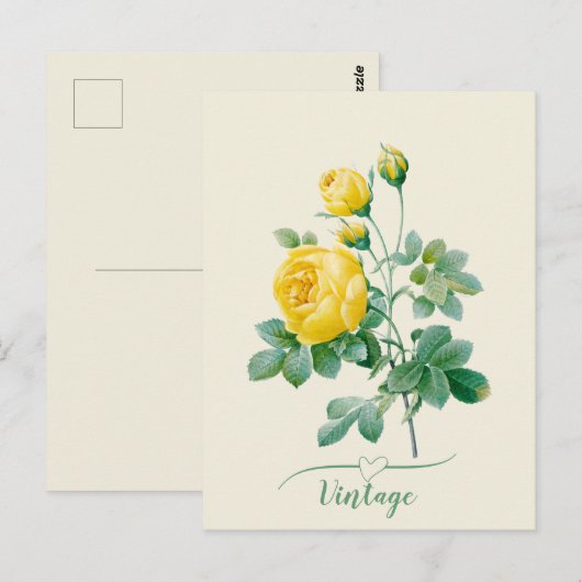 Yellow Rose Fine art Briefkaart (Voorkant / Achterkant)