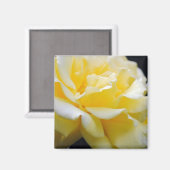 Yellow Rose Floral 5 Magneet (Voorkant / Achterkant)