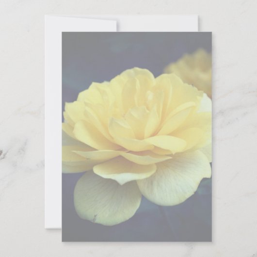 Yellow Rose Floral Party Kaart (Achterkant)