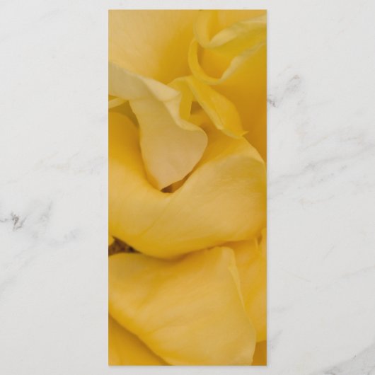 Yellow Rose Floral Wedding Programme Programmakaart (Achterkant)