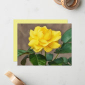 Yellow Rose Flower Art Note Card Set Notitiekaartje (Voorkant / Achterkant in situ)