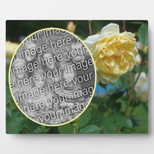 Yellow Rose Flower Creëer Uw eigen foto Fotoplaat (Voorkant)
