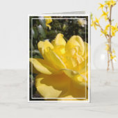 Yellow Rose Foto op Blank Kaart (Gele Bloem)