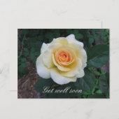  Yellow Rose Greeting Briefkaart (Voorkant / Achterkant)