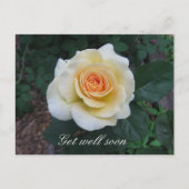 Yellow Rose Greeting Briefkaart (Voorkant)