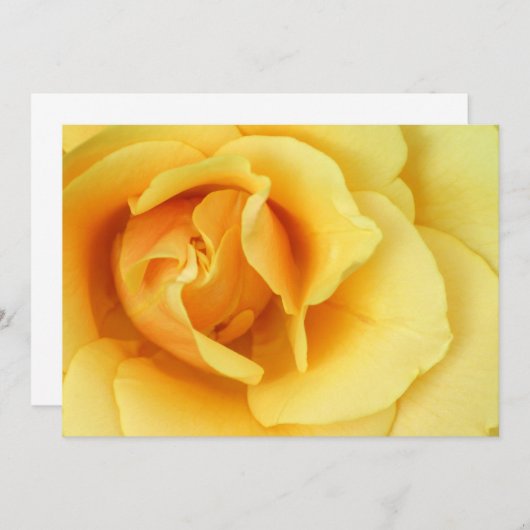 Yellow Rose Invitation Kaart (Voorkant / Achterkant)