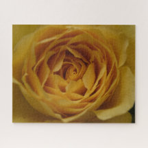 Yellow Rose Jigzaag Puzzle