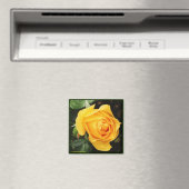 'Yellow Rose' magneet (Insitu (Vaatwasser))