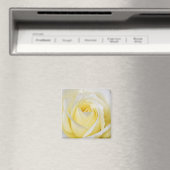Yellow Rose Magnet (Insitu (Vaatwasser))