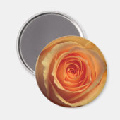Yellow Rose Magnet (Voorkant / Achterkant)