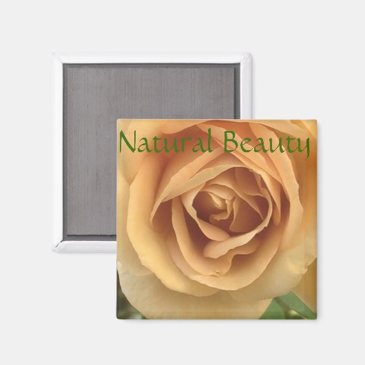 Yellow Rose Magnet (Voorkant / Achterkant)