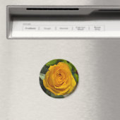 Yellow Rose Magnet (Insitu (Vaatwasser))