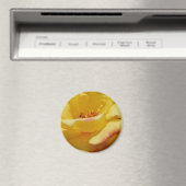 Yellow Rose Magnet (Insitu (Vaatwasser))