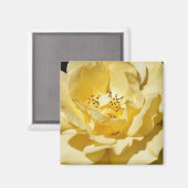 Yellow Rose Magnet (Voorkant / Achterkant)