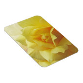 Yellow Rose Magnet Magneet (Rechterzijde)