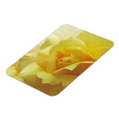 Yellow Rose Magnet Magneet (Linkerzijde)
