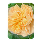 Yellow Rose Magnet Magneet (Verticaal)