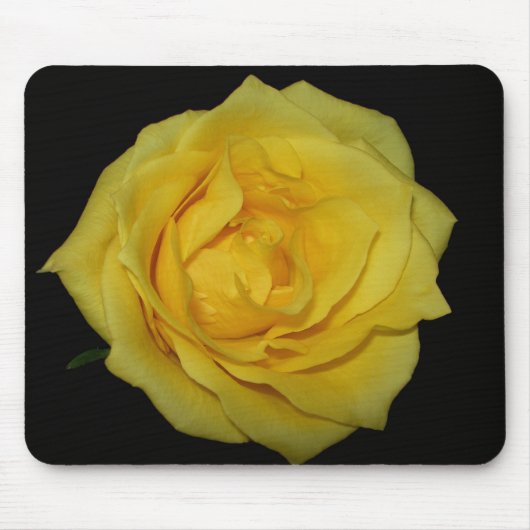 Yellow Rose Mousepad Muismat (Voorkant)
