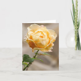 Yellow Rose Note Card Bedankkaart