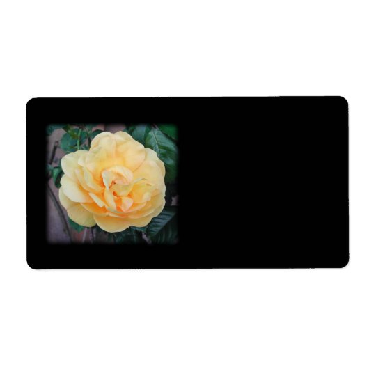 Yellow Rose, op zwarte achtergrond. Etiket (Voorkant)