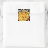 Yellow Rose Petal Sticker (Tas)