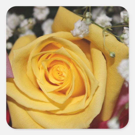 Yellow Rose Petal Sticker (Voorkant)