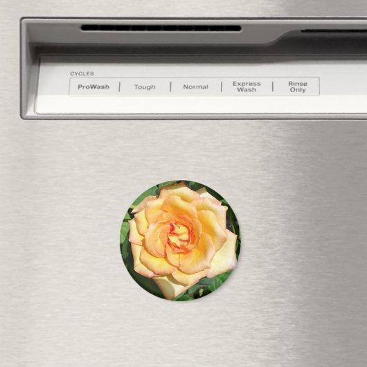 Yellow Rose Photo Round Magnet (Insitu (Vaatwasser))