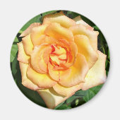 Yellow Rose Photo Round Magnet (Voorkant)