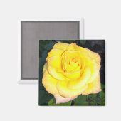 Yellow Rose Photo Square Magnet (Voorkant / Achterkant)