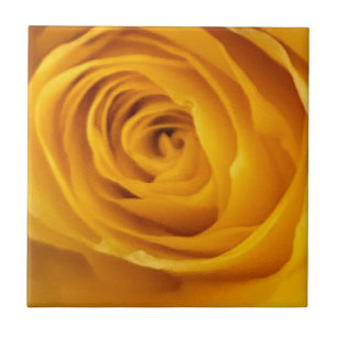 Yellow Rose Photo Tegel Tegeltje