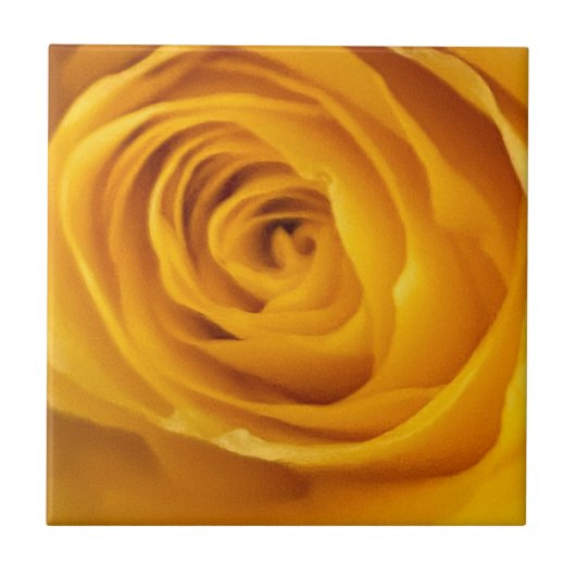 Yellow Rose Photo Tegel Tegeltje (Voorkant)