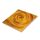Yellow Rose Photo Tegel Tegeltje (Zijkant)