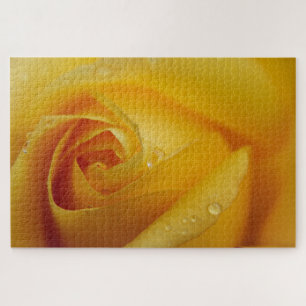 Yellow Rose Puzzle Legpuzzel