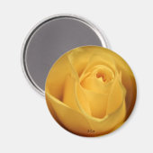 Yellow Rose, S Cyr Magneet (Voorkant / Achterkant)