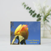 Yellow Rose Set Briefkaart (Staand voorkant)