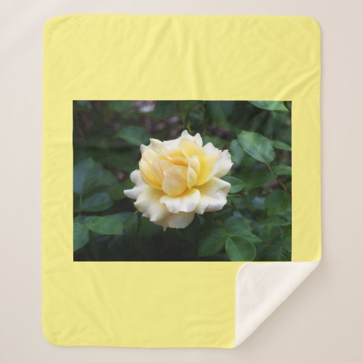 Yellow Rose Sherpa Blanket Deken (Voorkant)