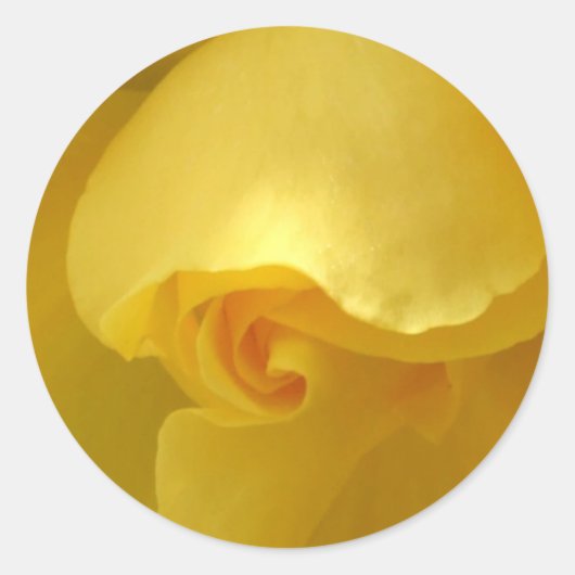 Yellow Rose Sticker (Voorkant)