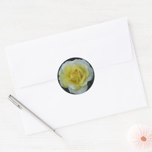 Yellow Rose Sticker (Envelop)
