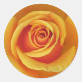 Yellow Rose Sticker (Voorkant)