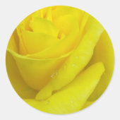 Yellow Rose Sticker (Voorkant)