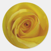 Yellow Rose Stickers (Voorkant)