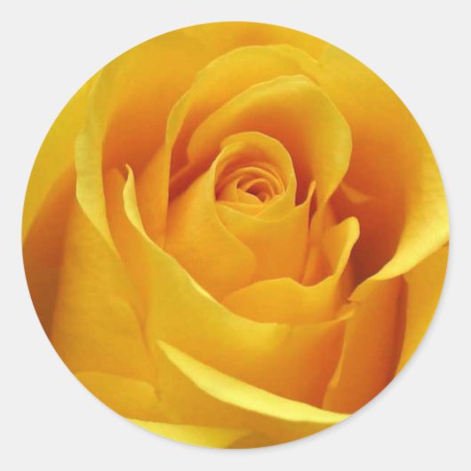 Yellow Rose Stickers en Envelope Seals (Voorkant)